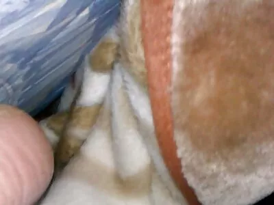 امرأة سمراء سكس اجنبي عرب نار في جوارب والجنس على الكاميرا