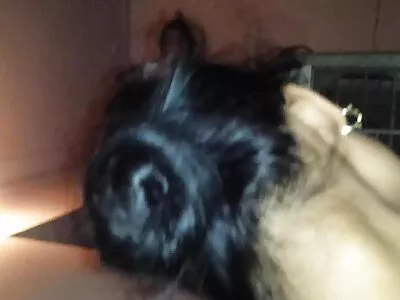 زوجة سمراء سكس عربي سكس اجنبي يابانية جميلة جدًا تلعب دور ممرضة ساخنة لممارسة الجنس مع زوجها