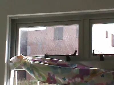 لمس سكس اجنبي مترجم مشاهده القندس لها وإصبعها بالإصبع